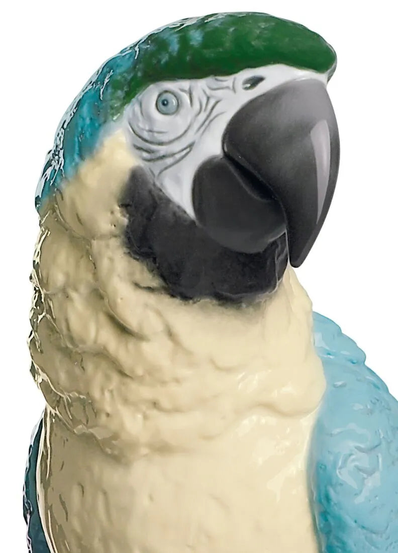 Lladró Macaw