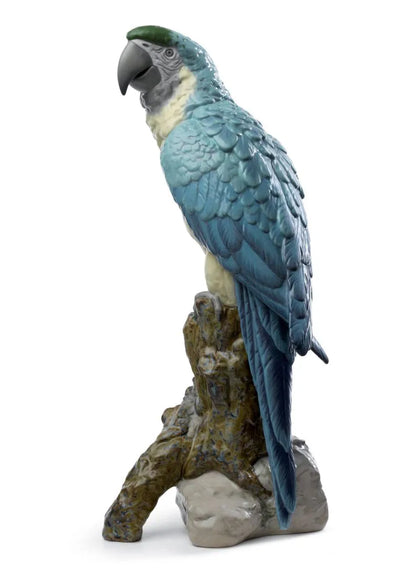 Lladró Macaw