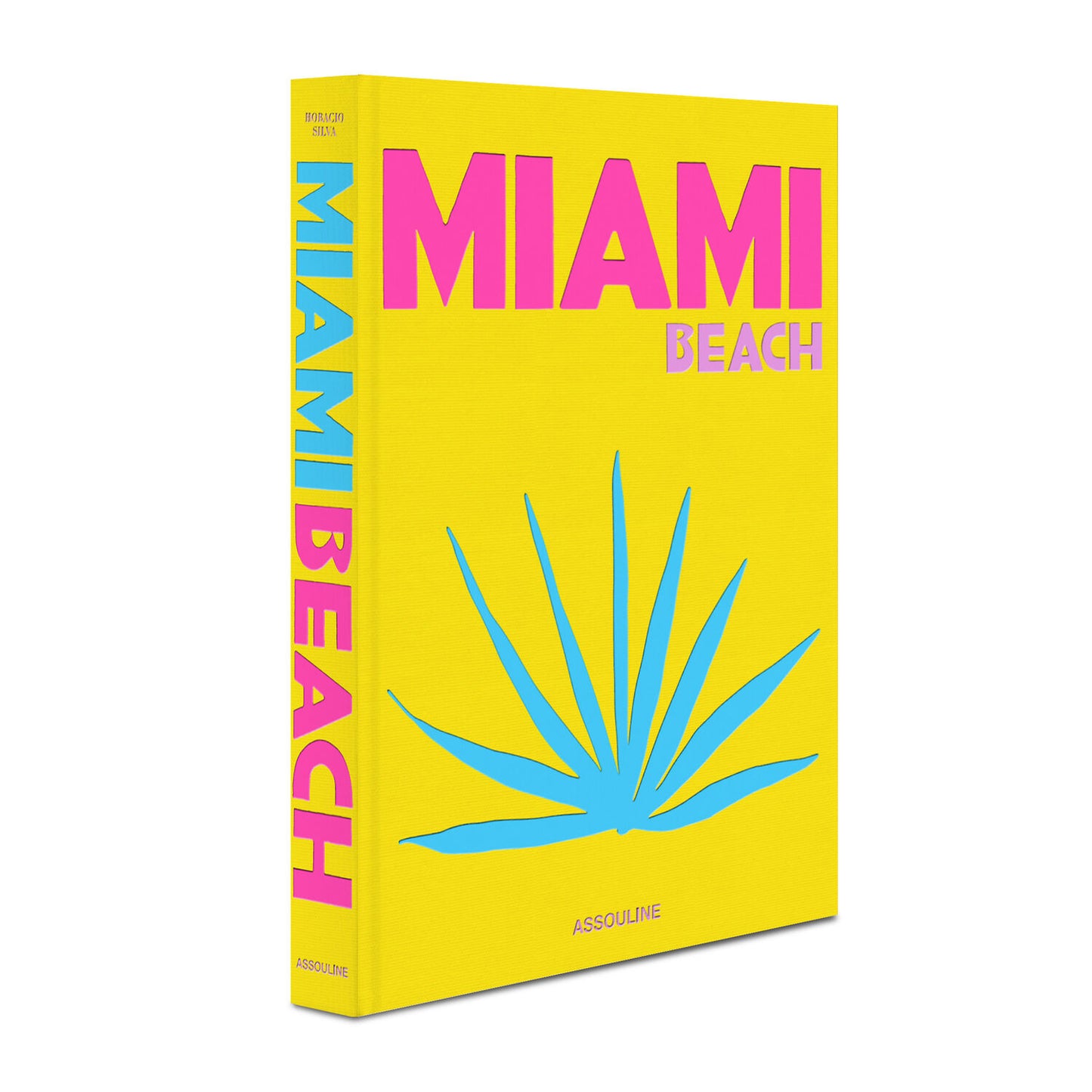 MIAMI BEACH by Assouline